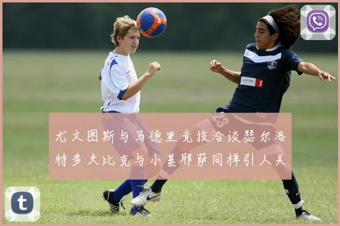 尤文图斯与马德里竞技洽谈瑟尔洛特多夫比克与小基耶萨同样引人关注