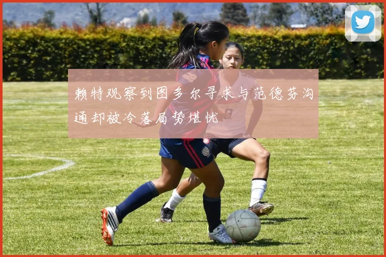 赖特观察到图多尔寻求与范德芬沟通却被冷落局势堪忧