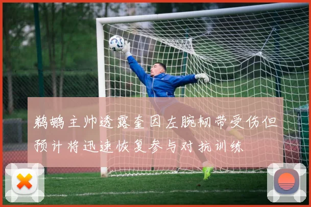 鹈鹕主帅透露奎因左腕韧带受伤但预计将迅速恢复参与对抗训练