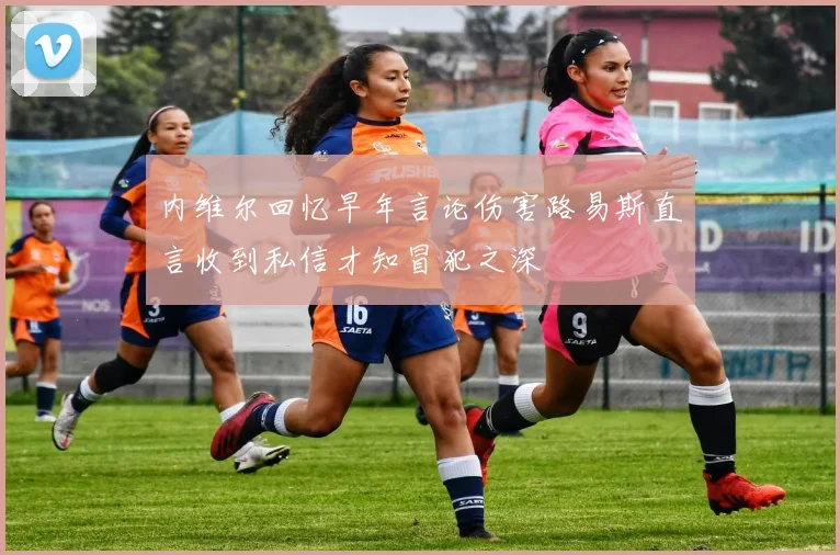 内维尔回忆早年言论伤害路易斯直言收到私信才知冒犯之深