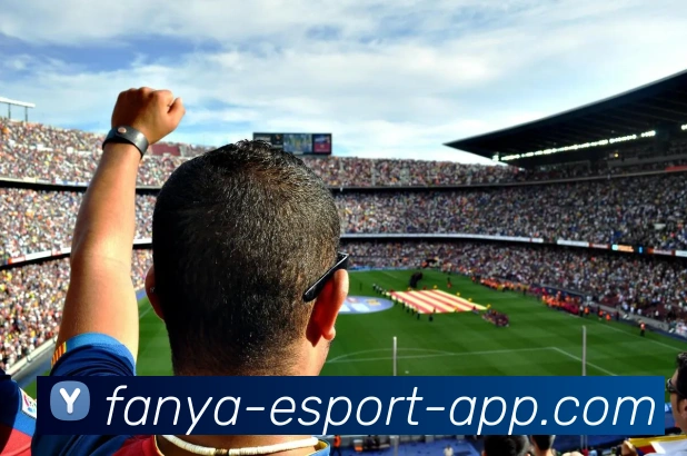 泛亚电竞平台生态图